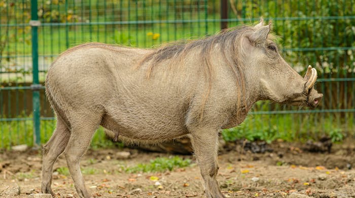 pexels-ganajp-6566293