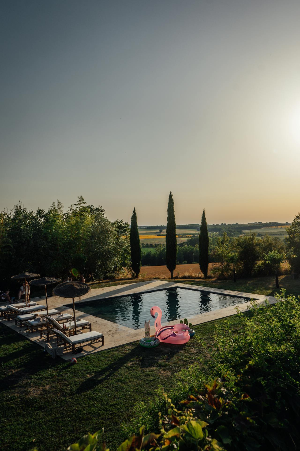 pexels-guihankenne-14713271 pexels-guihankenne-14713271