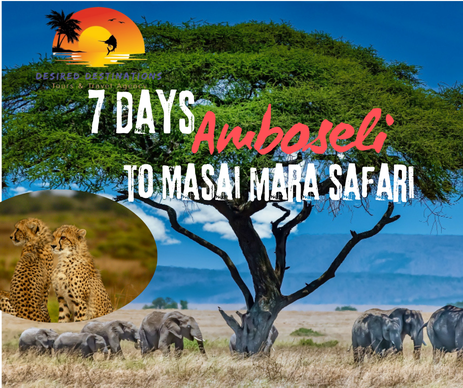 7 days package safari