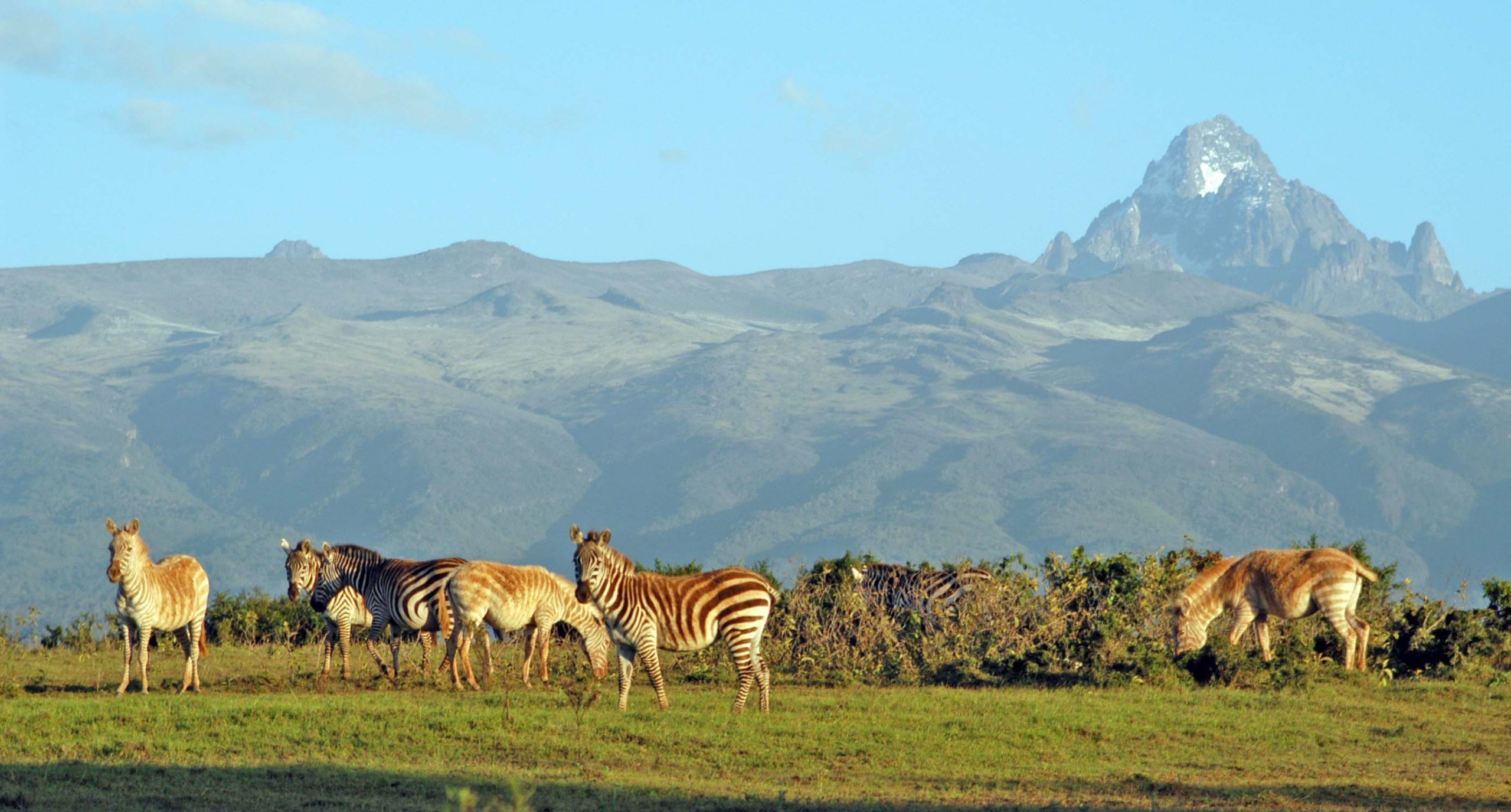 mtkenya2